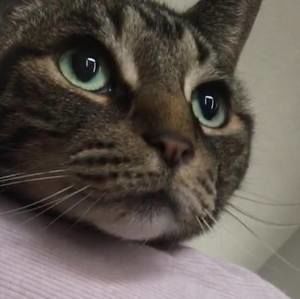 Meet your Posher, Heidi